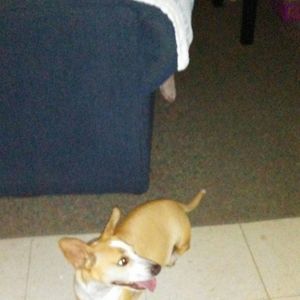 Meet your Posher, Lisa